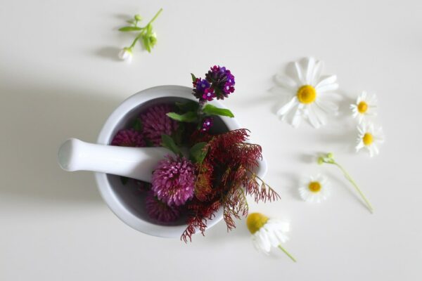 fleurs médicinales